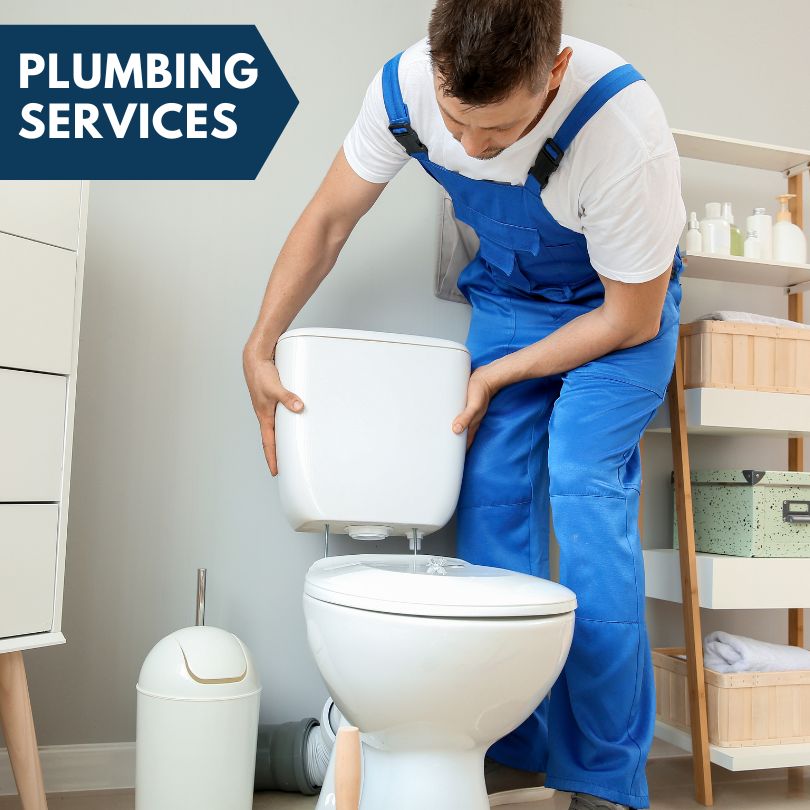 Plumbing Company in Beaverville, IL